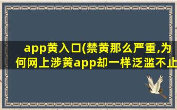 app黄入口(禁黄那么严重,为何网上涉黄app却一样泛滥不止呢)