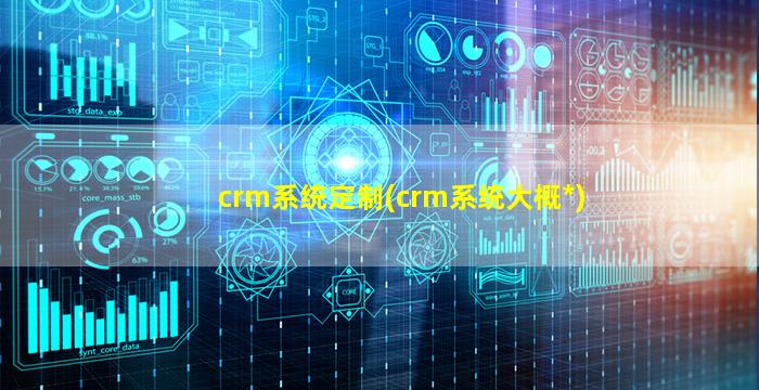 crm系统定制(crm系统大概*)