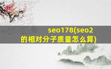 seo178(seo2的相对分子质量怎么算)