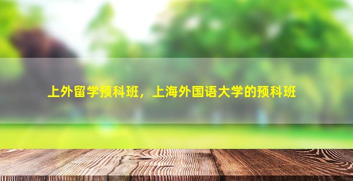 上外留学预科班，上海外国语大学的预科班