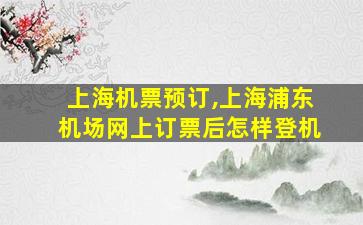 上海机票预订,上海浦东机场网上订票后怎样登机 上海机票预订,上海浦东机场网上订票后怎样登机
