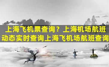 上海飞机票查询？上海机场航班动态实时查询上海飞机场航班查询