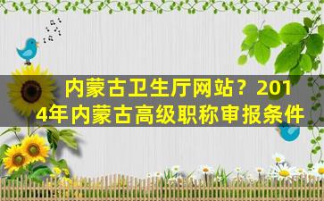 内蒙古卫生厅网站？2014年内蒙古高级职称审报条件