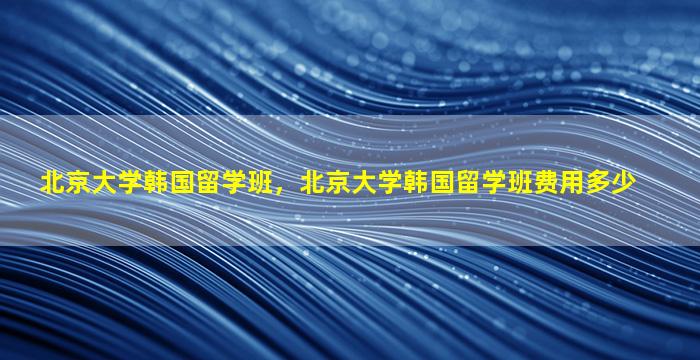 北京大学韩国留学班，北京大学韩国留学班费用多少