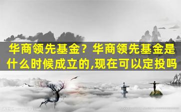 华商领先基金？华商领先基金是什么时候成立的,现在可以定投吗