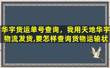 华宇货运单号查询，我用天地华宇物流发货,要怎样查询货物运输状态