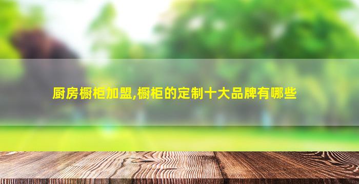 厨房橱柜加盟,橱柜的定制十大品牌有哪些 厨房橱柜加盟,橱柜的定制十大品牌有哪些