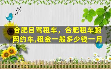 合肥自驾租车，合肥租车跑网约车,租金一般*一月