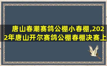 唐山春潮赛鸽公棚小春棚,2022年唐山开尔赛鸽公棚春棚决赛上笼多少 唐山春潮赛鸽公棚小春棚,2022年唐山开尔赛鸽公棚春棚决赛上笼多少