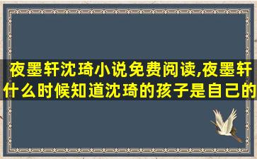 夜墨轩沈琦小说免费阅读,夜墨轩什么时候知道沈琦的孩子是自己的 夜墨轩沈琦小说免费阅读,夜墨轩什么时候知道沈琦的孩子是自己的