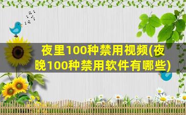 夜里100种禁用视频(夜晚100种禁用软件有哪些)