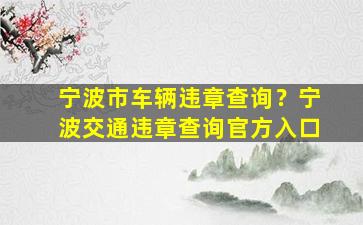 宁波市车辆违章查询？宁波交通违章查询官方入口