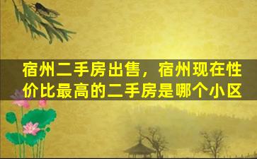 宿州二手房*，宿州现在性价比最高的二手房是哪个小区