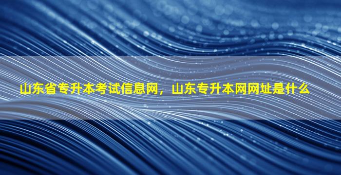 山东省专升本考试信息网，山东专升本网网址是什么