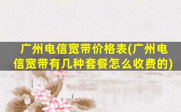 广州电信宽带价格表(广州电信宽带有几种套餐怎么收费的)