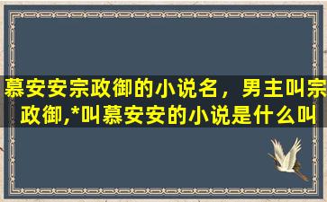 慕安安宗政御的小说名，男主叫宗政御,*叫慕安安的小说是什么叫什么名字插图