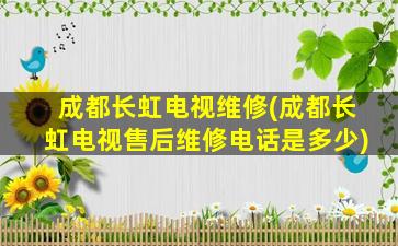 成都长虹电视维修(成都长虹电视售后维修电话是多少)