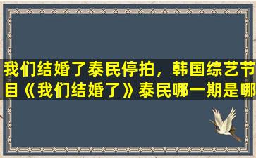 我们结婚了泰民停拍，韩国综艺节目《我们结婚了》泰民哪一期是哪年哪月哪号的