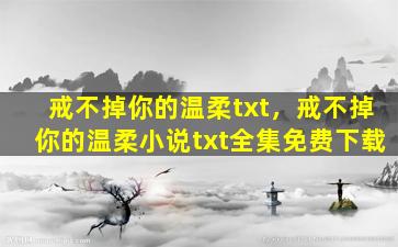 戒不掉你的温柔txt，戒不掉你的温柔小说txt全集免费下载