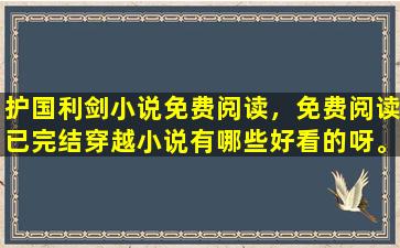 护国利剑小说免费阅读，免费阅读已完结穿越小说有哪些好看的呀。