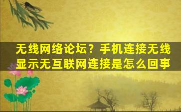 无线网络论坛？手机连接无线显示无互联网连接是怎么回事插图