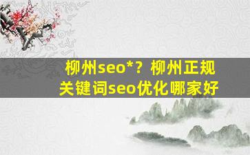 柳州seo*？柳州正规关键词seo优化哪家好插图