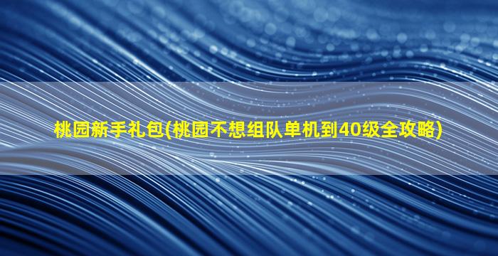 桃园新手礼包(桃园不想组队单机到40级全攻略)