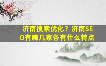 济南搜索优化？济南SEO有哪几家各有什么特点