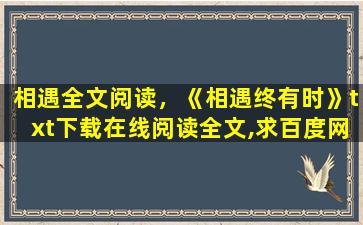 相遇全文阅读，《相遇终有时》txt下载在线阅读全文,求百度网盘云资源