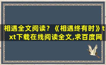 相遇全文阅读？《相遇终有时》txt下载在线阅读全文,求百度网盘云资源