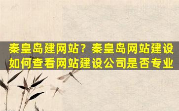 秦皇岛建网站？秦皇岛网站建设如何查看网站建设*是否专业