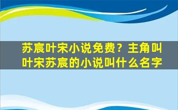 苏宸叶宋小说免费？主角叫叶宋苏宸的小说叫什么名字