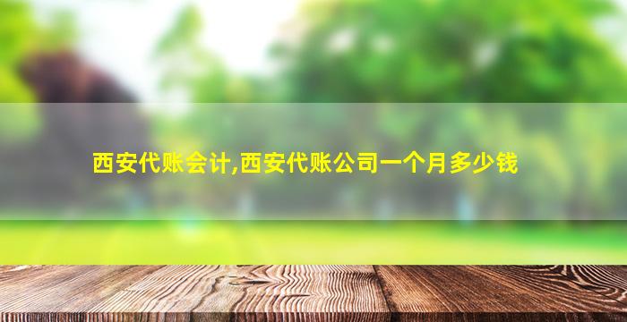 西安代账会计,西安代账*一个月* 西安代账会计,西安代账*一个月*