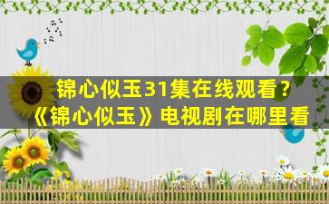 锦心似玉31集在线观看？《锦心似玉》电视剧在哪里看