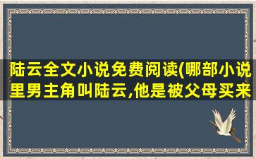 陆云全文小说免费阅读(哪部小说里男主角叫陆云,他是被父母买来的)插图