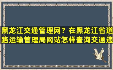 黑龙江交通管理网？在黑龙江省道路运输管理局网站怎样查询交通违章